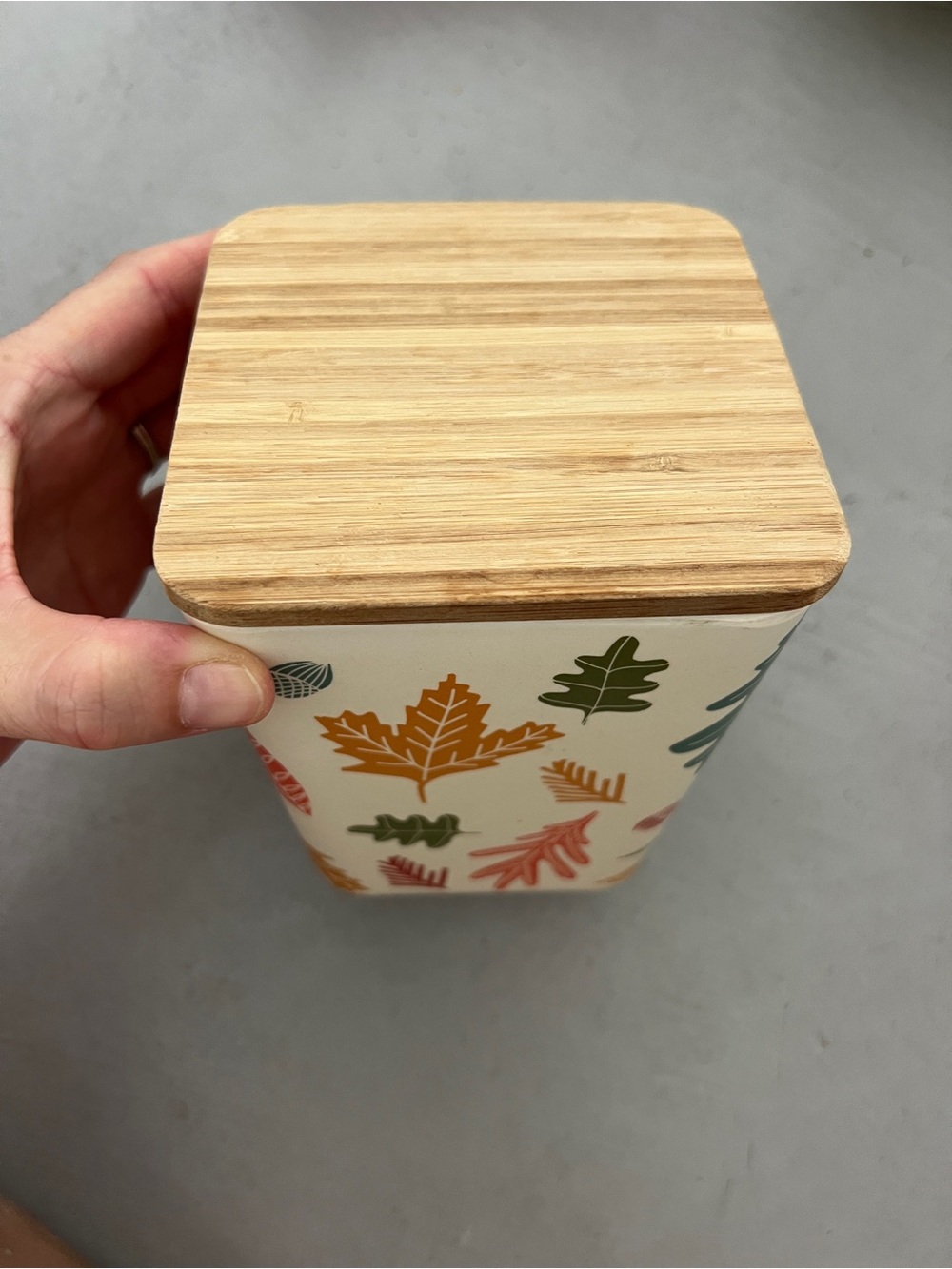 Melamine Container Fall Themed - Picture 2 of 4